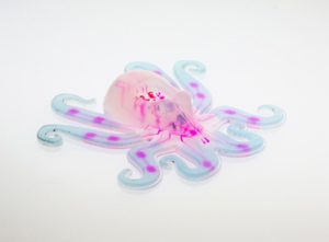 robots con estructura blanda