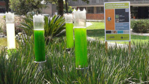 CO2 y la huella de carbono