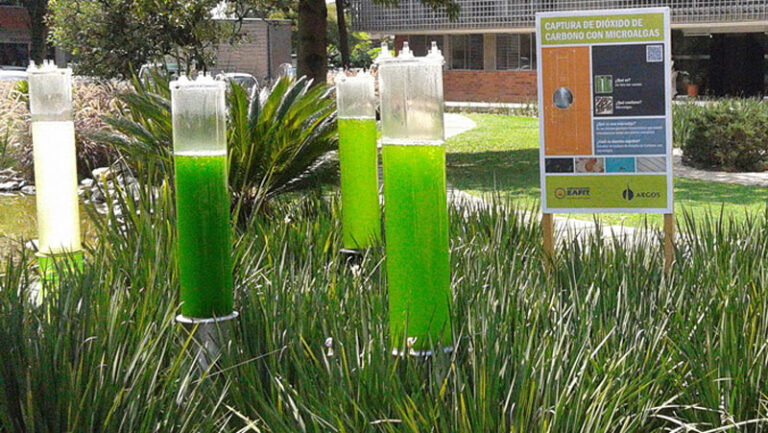 CO2 y la huella de carbono