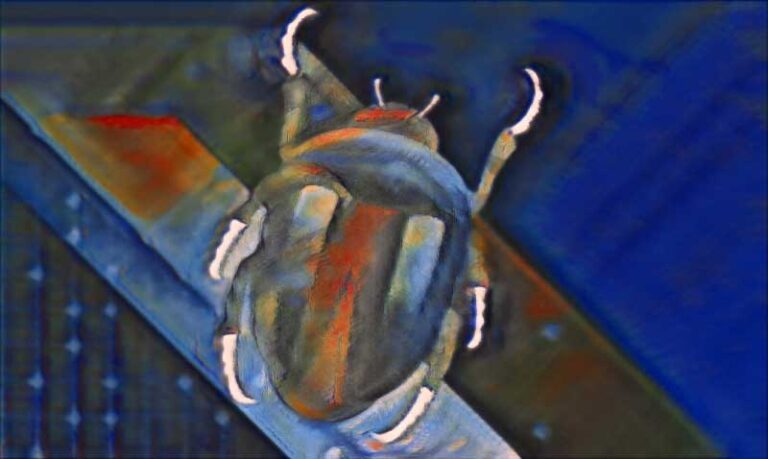 Ransomware y Criptohijacking VMWare informe 2022